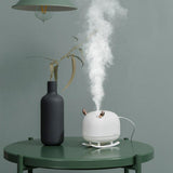 Diffuseur Huile Essentielle