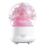 Diffuseur Huile Essentielle rouge