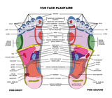 Masseur de pieds reflexologie